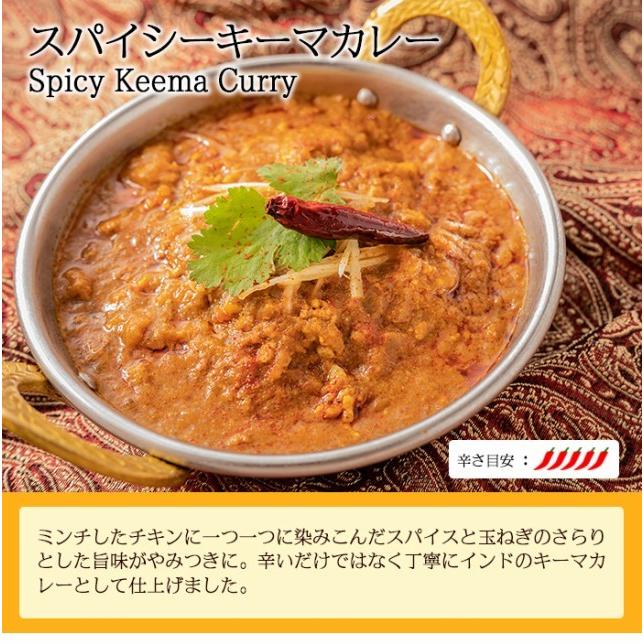 カレー スパイシーキーマカレー180g 単品お試し レトルト カレー