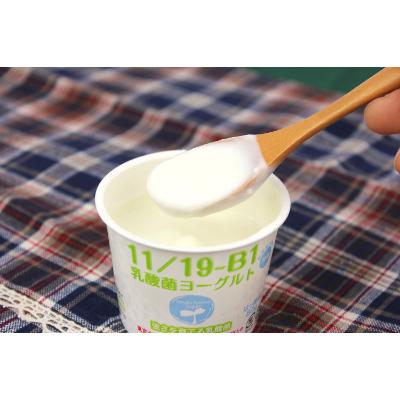 ふるさと納税 本宮市 11 19-B1乳酸菌ヨーグルト2箱(1箱8個入り)