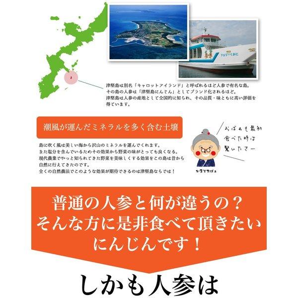 津堅島 にんじん 人参 3kg 送料無料 ｜人参 ｜