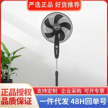先鋒立式大風量電扇家用生活電器5葉搖頭機械定時落地扇FS40-21B