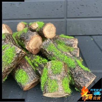 【台灣出貨】雨林擺件造景木 魚缸擺件 雨林缸爬寵造景 爬寵缸 仿真苔蘚生態實木 桌面苔蘚微景觀 爬寵躲避
