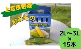 地元上富良野産 とうもろこし おおもの 15本セット