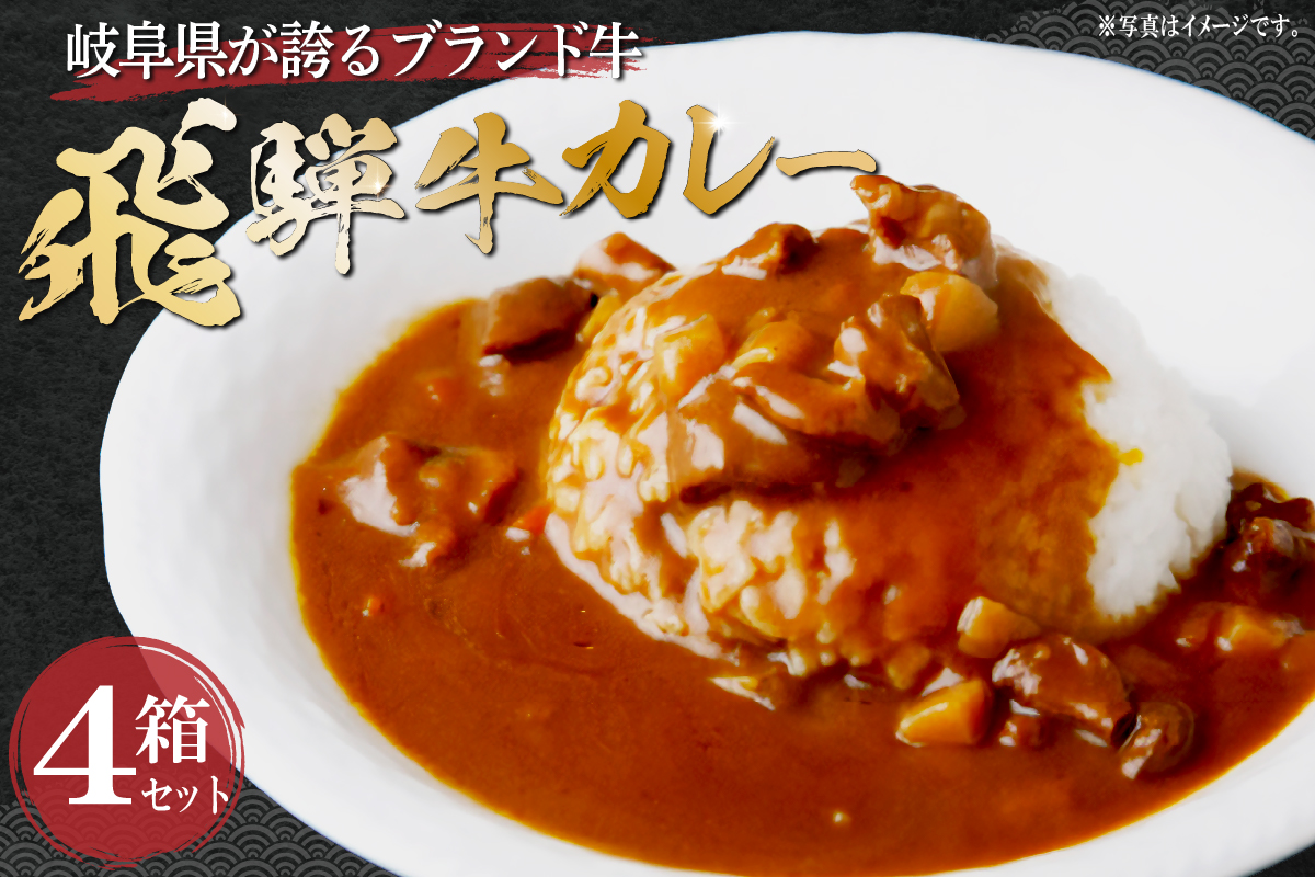 飛騨牛カレーセット