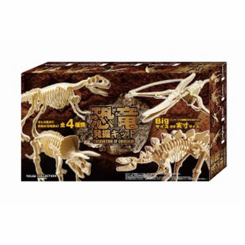 恐竜 発掘 キット 石膏 ブロック 玩具 おもちゃ Ty 0184 通販 Lineポイント最大1 0 Get Lineショッピング
