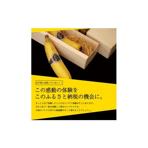 ふるさと納税 宮崎県 川南町 国産バナナNEXT716「6本」レギュラーサイズ