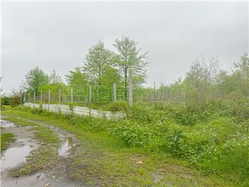 福龍路旁優質美農地｜桃園市龍潭區成功段