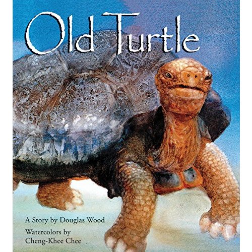 Old Turtle (Lessons of Old Turtle)