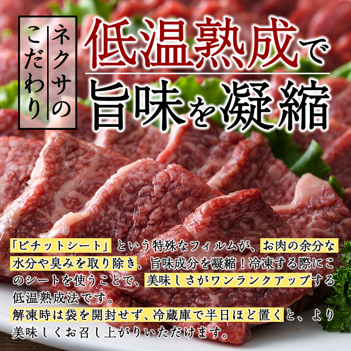 おおいた和牛A4ランク以上！赤身焼肉セット3種