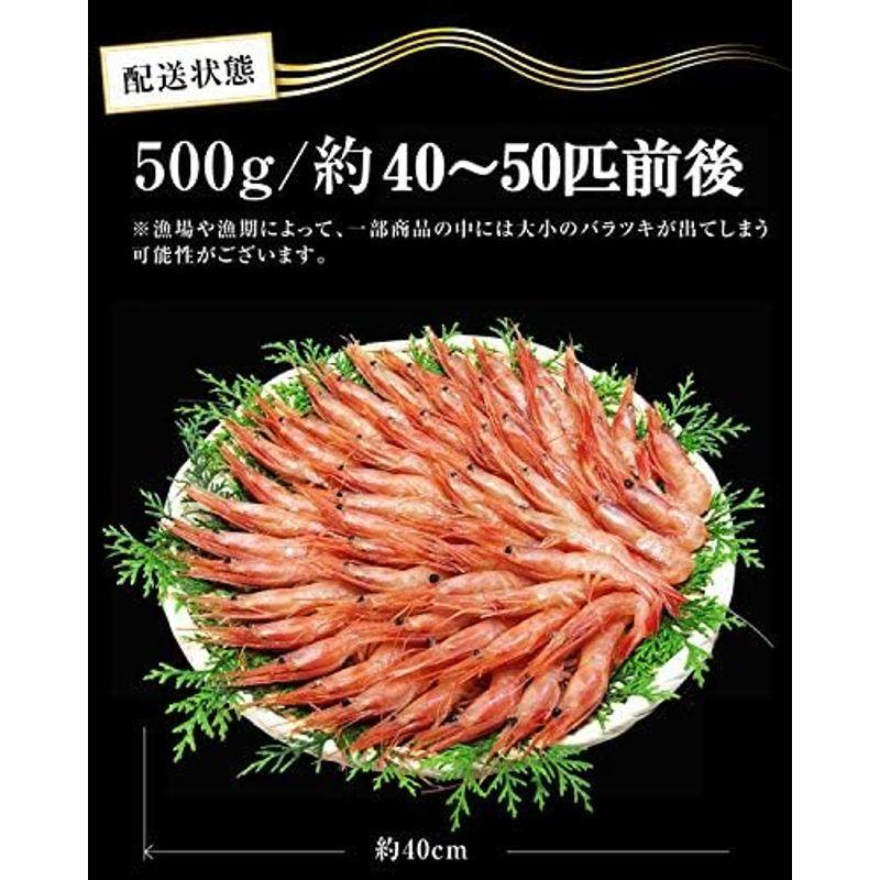 ますよね 福井県 越前産 子なし 甘えび 500g (約50尾入り) 酸化防止剤 添加物 不使用 えび エビ 海老 甘海老