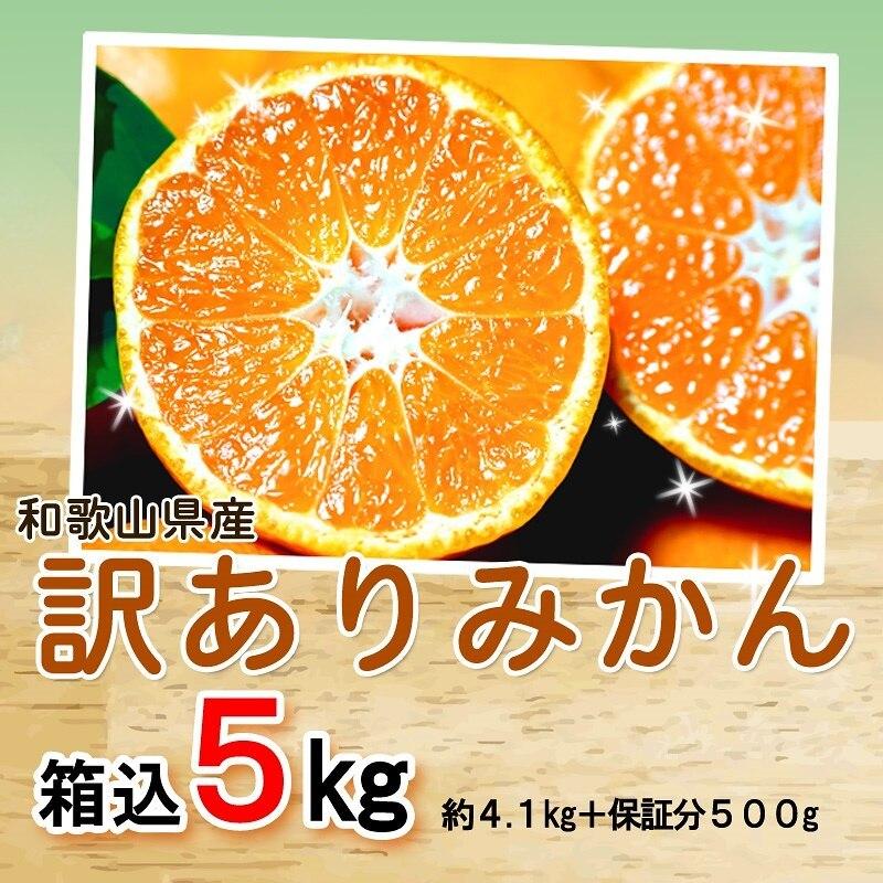 みかん 5kg（箱込約5kg） 和歌山県産 訳あり・ご家庭用 送料無料（東北・北海道・沖縄県除く）