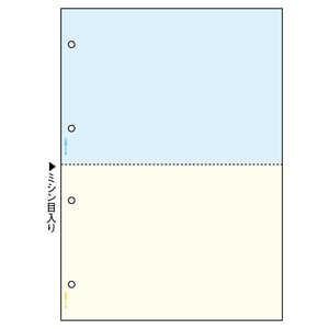 ヒサゴ マルチプリンタ帳票A4カラー2面4穴 BP2011WZ