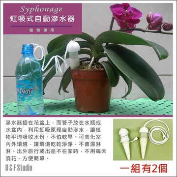 虹吸式自動滲水器 植物澆花器 盆栽種植專用澆花器 1組2個 花盆 肥料【居家達人-A177】