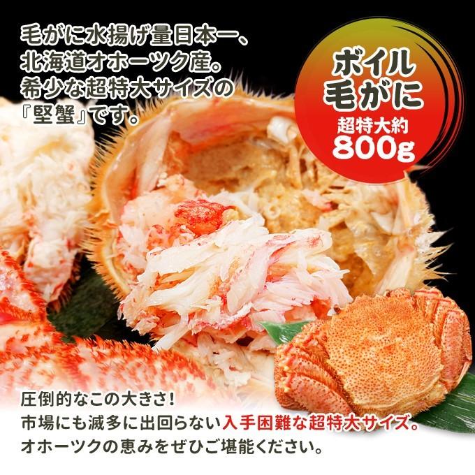 北海道産 ボイル 毛がに 超特大約800g 送料無料 海鮮 ギフト