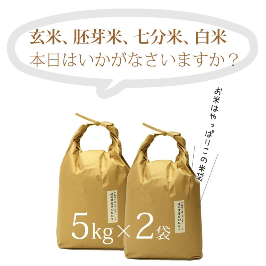  お米 10kg イクヒカリ 10kg 5kg×2袋 令和5年産   お祝い お歳暮 ギフト お取り寄せグルメ　 鹿児島県