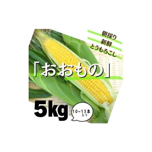 ふるさと納税 茨城県 鉾田市 朝採り新鮮！とうもろこし「おおもの」5kg　10〜13本入り