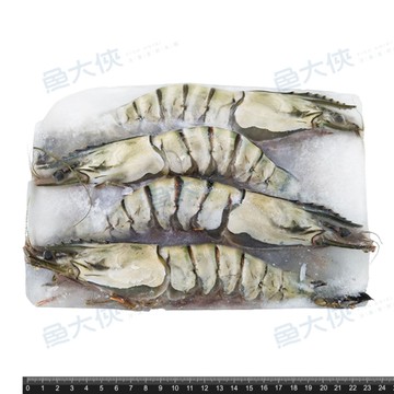 海草蝦(實重420g/4尾/盒)#420-1D3B【魚大俠】SP071