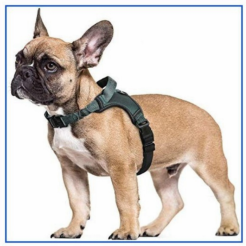 新品 Rabbitgoo 犬 ハーネス 引っ張り防止胴輪 負担が少ない首輪 足を上げず装着完成 サイズ調整可 夜 通販 Lineポイント最大0 5 Get Lineショッピング
