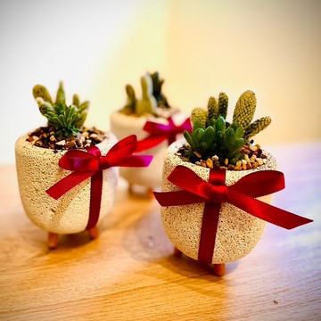 【新年首選限定】日系擴香多肉輕磚系列_獨家跨海合作_除舊佈新