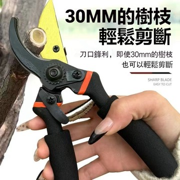 台灣出貨🎉SK5 樹枝剪 園藝剪刀 修枝剪 園藝剪 花剪 粗枝剪刀 修花剪刀 高枝剪 果樹剪 園藝工具 花藝剪刀