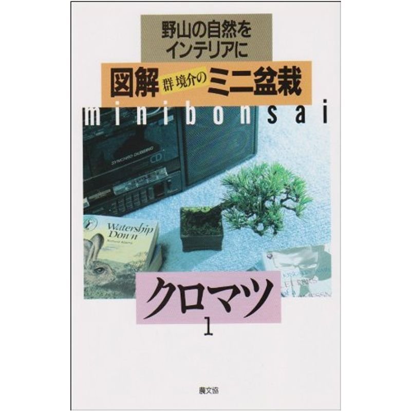 クロマツ (図解 群境介のミニ盆栽?野山の自然をインテリアに)