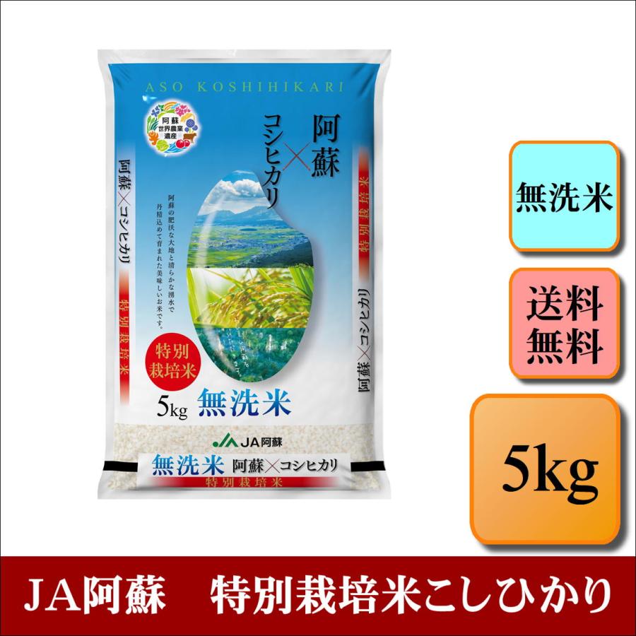 新米　お米　無洗米　令和５年産　ＪＡ阿蘇　特別栽培米こしひかり　5kg　米　おこめ　白米　精米　