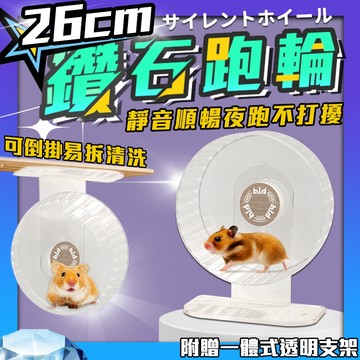 【現貨!保固半年!送支架】bld 靜音透明滾輪 (可倒掛)26cm 倉鼠跑輪 倉鼠滾輪 跑輪 靜音跑輪 黃金鼠玩具 蜜袋