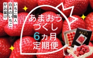 いちご職人 白木のいちご あまおうづくし 6回コース