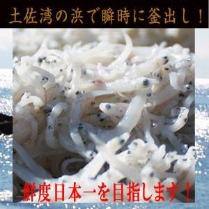 釜出しちりめん （しらす）600ｇ (300g×２）　高知浜改田の無添加しらす