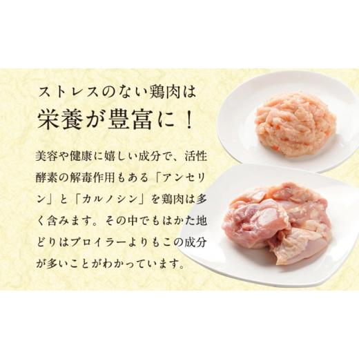 ふるさと納税 福岡県 朝倉市 水炊き セット 2〜3人前 コラーゲン スープ付き 福岡 限定！はかた地どり 美人水炊きセット 鶏 肉 とり肉 鳥肉 鶏肉 鍋 なべ ポン…