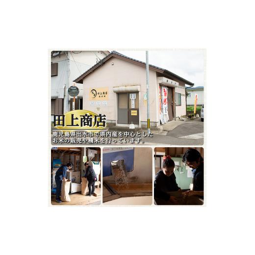 ふるさと納税 鹿児島県 出水市 i503 ＜2023年11月上旬から順次発送＞令和5年産！鹿児島県出水市産ひのひかり玄米＜3kg×4袋・計12kg＞