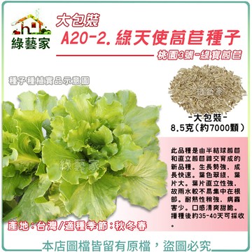 【綠藝家】大包裝A20-2.綠天使萵苣種子8.5克(約7000顆) 桃園3號綠寶萵苣