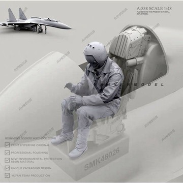 【台灣出貨】✨免運 白膜 1/48 Su-30駕駛員A 樹脂手辦 現代兵人 白模(原特) A-838 模型製作