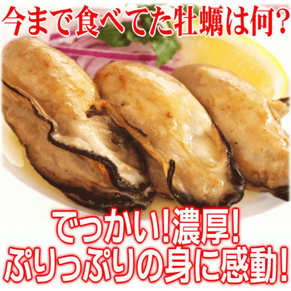 ギフト カキ 牡蠣 2kg かき 広島県産 (特産品 名物商品) 広島 L カキ1kg(正味850g)×2袋 送料無料 グルメ 鍋