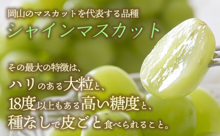 ぶどう 2024年 先行予約 シャイン マスカット 3～4房 約2.0～2.5kg 秀品 ブドウ 葡萄  岡山 赤磐市産 国産 フルーツ 果物 ギフト