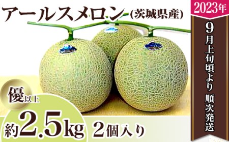 12-11茨城県産アールスメロン約2.5kg（2個）