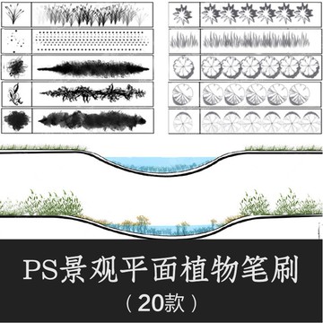 Photoshop筆刷 | Photoshop筆刷 | PS花草樹木植物筆刷平面樹草本植物園林景觀平面設計手繪畫素材庫