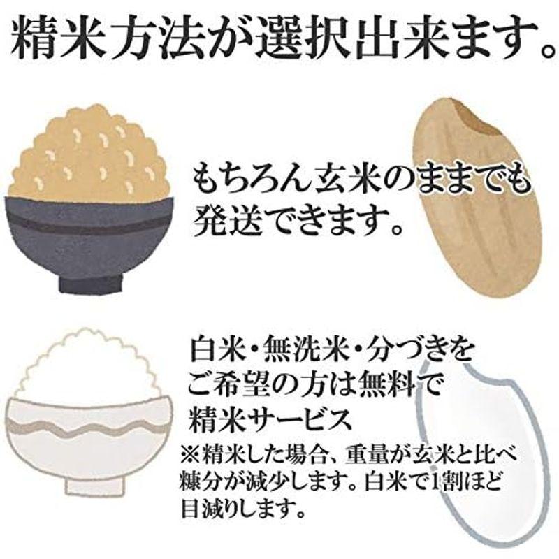 当日精米山形県産 ひとめぼれ 30kg 紙袋 令和4年度産 (1分づき 9.9kg×3袋)