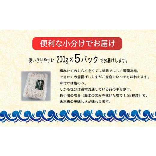 ふるさと納税 香川県 さぬき市 釜揚げしらす (訳あり) 1.0kg (200ｇ×5ｐ) 国産 無添加 2023年 12月発送 香川県 さぬき市 しらす 冷凍 小分け 低塩 とれたて …