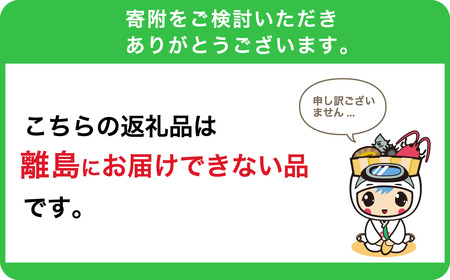 房州産大伊勢えび　約2kg mi0014-0004