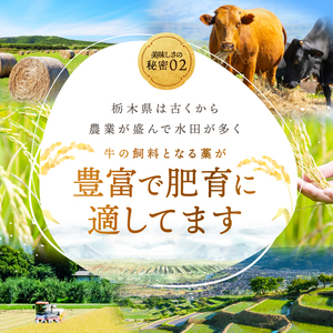 ブランド牛 栃の木黒牛・ローススライス たっぷり700g ギフトBOXでお届け 真岡市 栃木県 送料無料