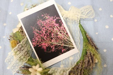 【明信片】花束夜櫻cherry blossoms at night