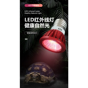 【台灣現貨 台灣專用110V】 紅外線爬蟲燈 紅外線造景燈 爬蟲燈 夜燈 寵物觀察燈 爬蟲夜燈 蜘蛛 守宮 蝎子 夜行燈