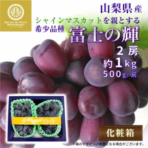 [最短順次発送]  富士の輝 2房 約1kg 約500g x2 大粒 化粧箱 ぶどう ブドウ 葡萄 富士の輝き 山梨県 笛吹 夏ギフト お中元 御中元