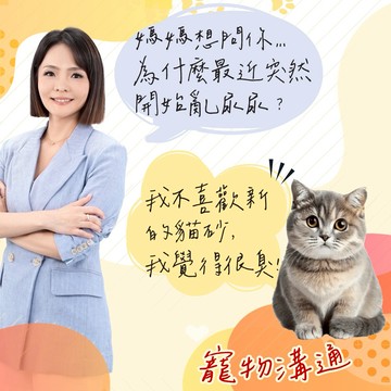 【命運好好玩】塔妮婭‧寵物溝通(送躺著賺招財貓金箔鎮)(電話諮詢)