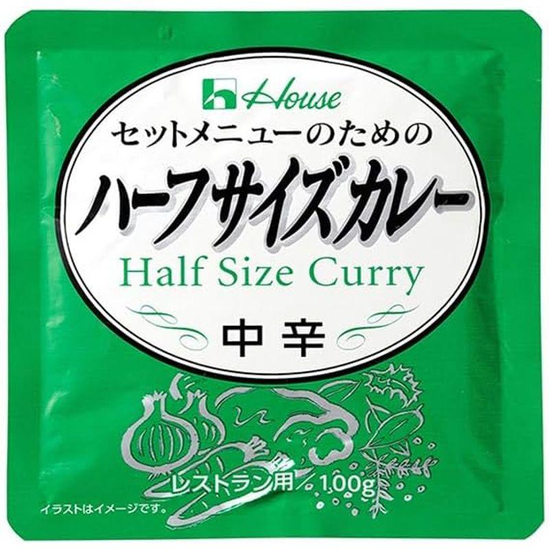 ハウス食品 ハーフサイズカレー 100g×36袋入×(2ケース)