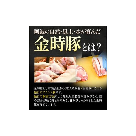 ふるさと納税 徳島県 上板町 豚肉 阿波 金時豚 ミンチ 1.8kg アグリガーデン 《30日以内に順次出荷(土日祝除く)》ブランド豚 肉 小分けパック 送料無料 徳島県…