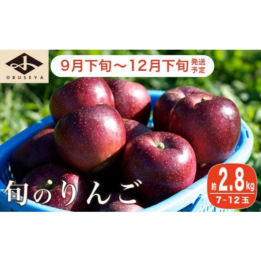 ふるさと納税 長野県 小布施町  長野県産 季節の旬のりんご 約2.8kg 7〜12玉［小布施屋］ 2023年9月下旬〜12月下旬発送 りんご 林檎 リンゴ  果物 フルーツ ［…