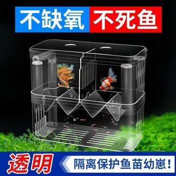 🔥 臺灣出貨🔥可開發票 魚缸孵化盒孔雀魚鬥魚隔離盒小魚產卵器魚缸用品裝飾鳳尾魚飼養盒