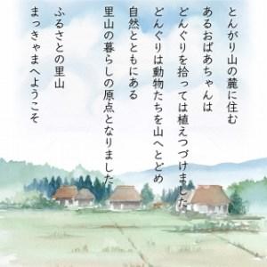 ふるさと納税 （毎月／全10回）定期便　特別栽培米 石川県産こしひかり棚田米”まっきゃま米” 石川県金沢市