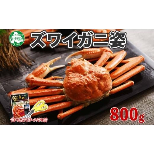 ふるさと納税 北海道 弟子屈町 1719.  ボイルズワイガニ姿 800g 食べ方ガイド・専用ハサミ付 カニ 蟹 送料無料 北海道 弟子屈町